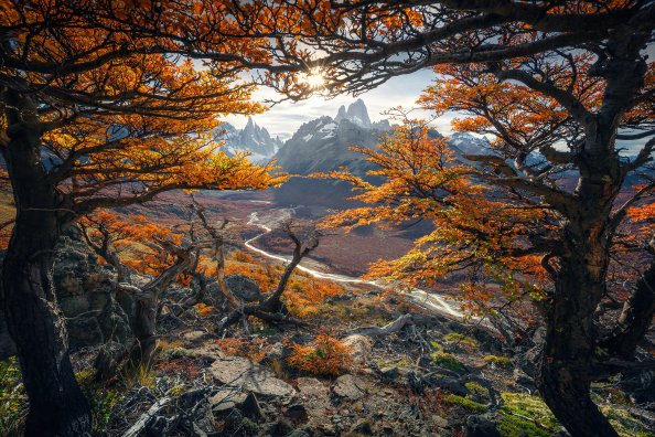 Beautiful Autumn Colours In Patagonia 4k