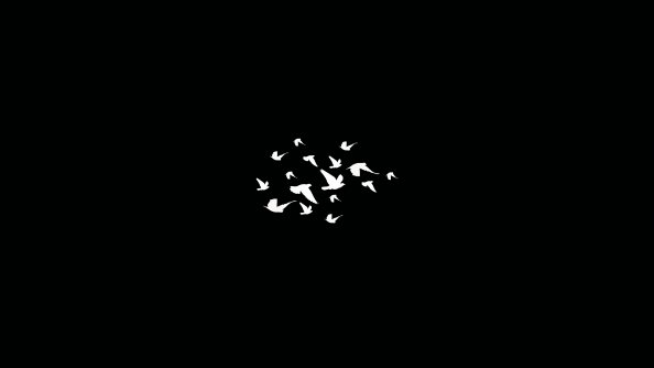 Birds Flying Minimalist Dark 4k