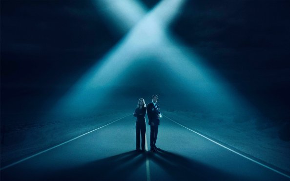 The X Flies