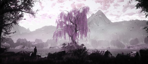 The Dead Tree Of Ranchiuna