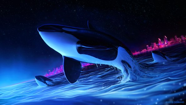 Dolphin Night Orca Whale Digital Art