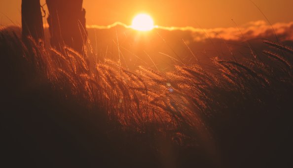 Corn Filed Sunset 5k