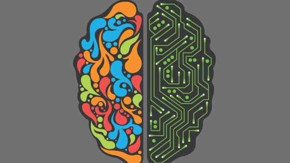 Brain Minimalism