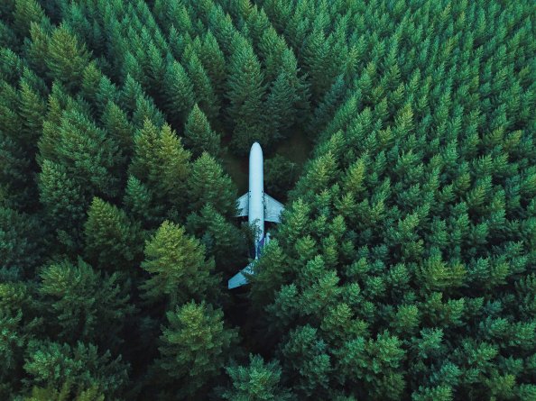 Plane In Middle Of Forest 4k
