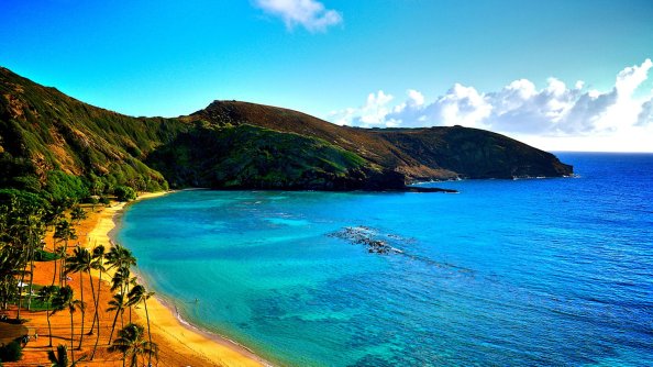 Coast Of Hawaii