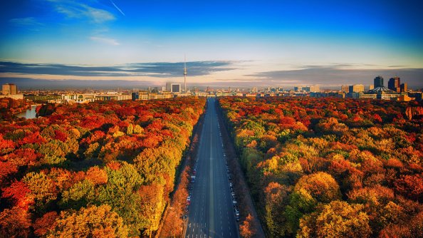 Highway through Autumn Forest