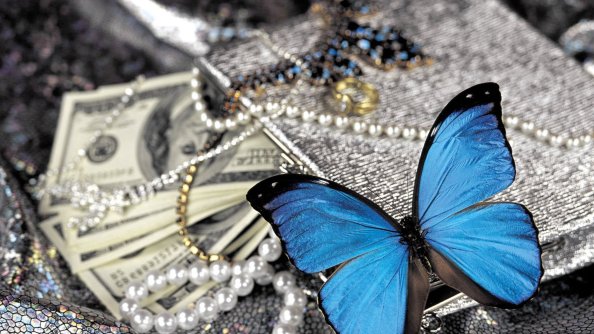 Blue Butterfly On Pearls