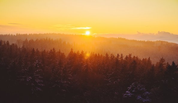 Golden Hour Foggy Landscape 4k