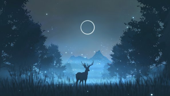 Reindeer Minimalism Art 4k
