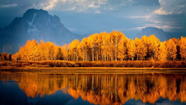 Autumn Trees On Lake
