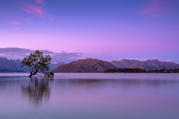 Purple Sky Mountains 5k
