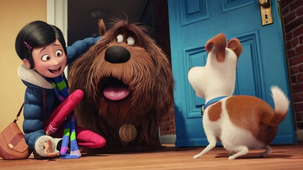 The Secrete Life of Pets Movie Original