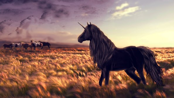 Unicorn In Field