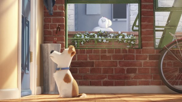 The Secrete Life of Pets Movie Main Character