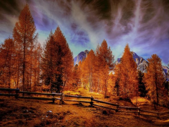 Alpine Mountains Autumn Forest Trees