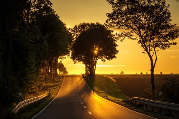 Road Sunset Back Light 5k