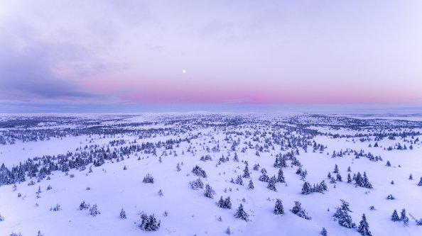 Snow Covered Field 4k