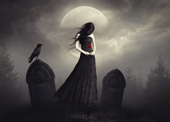 Dark Princess With Rose