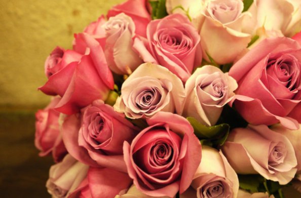 Pink Roses Bouquet