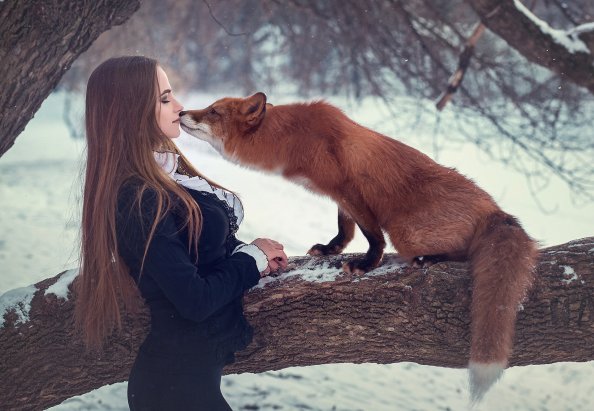 Fox With Girl Depth Of Field