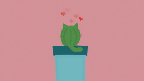 Catctus Minimal 4k