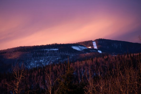 Sky Snow Plam Trees 5k