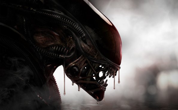 Aliens Xenomorph Creature 4k
