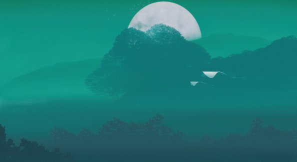 The Traveller