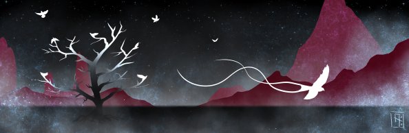 Birds Scenery Wide 4k