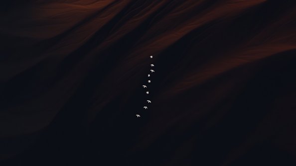 Flying Birds Minimal 4k