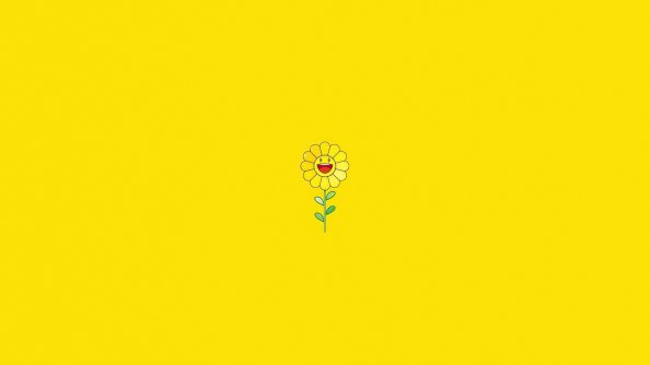 Yellow Sunflower Background