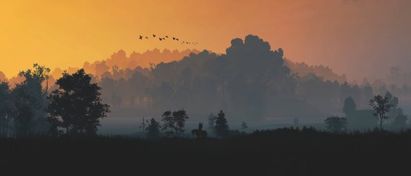 The Witcher 3 Minimal Nature 5k