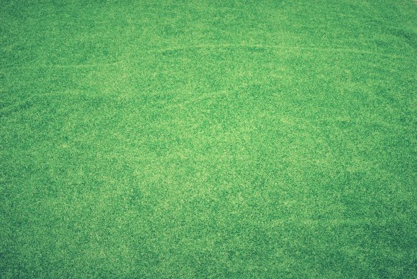 Grass Abstract Background 4k