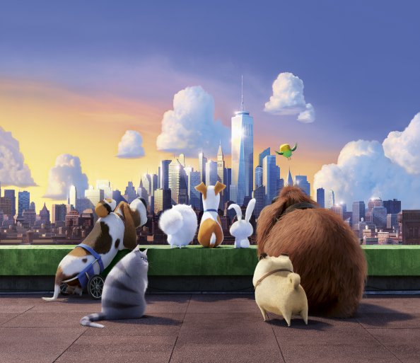 The Secret Life Of Pets 10k