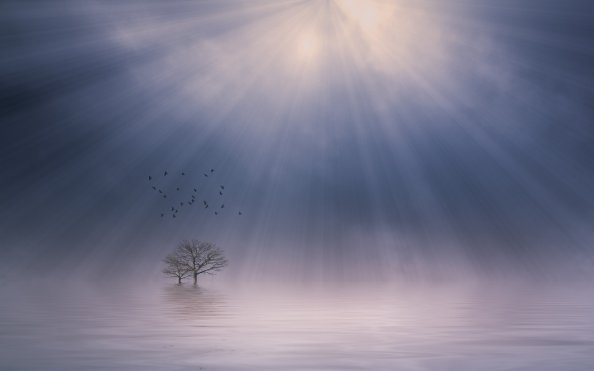 Mist Sunrise
