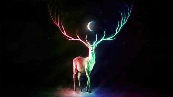Deer Moon