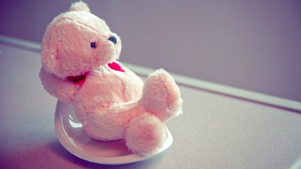 Pink Teddy Bear