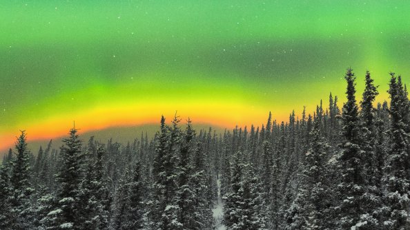 Rare Orange Aurora Above A Snowy Forest 5k