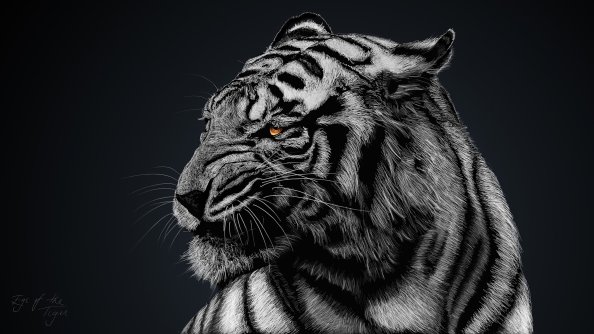 Tiger Glow