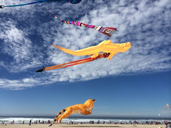 Kites