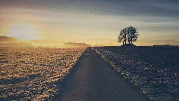 Beautiful Road