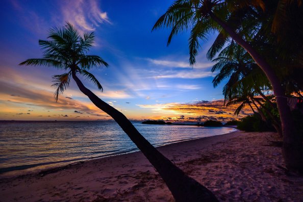 Coconut Trees Beach Clouds
