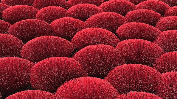 Flowering Plants Petal Field
