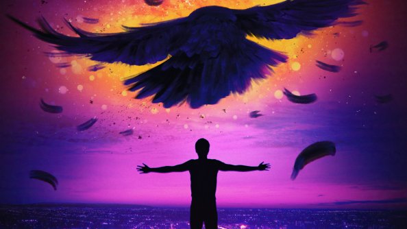 Fly With Me 4k