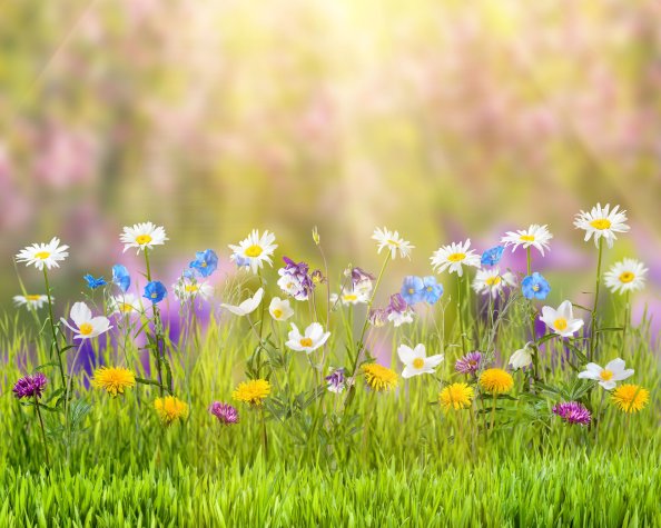 Spring