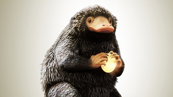 Niffler In Fantasic Beasts And Where To Find Them 4k
