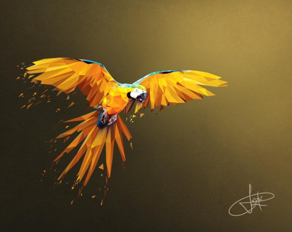 Macaw Low Poly Digital Art 4k