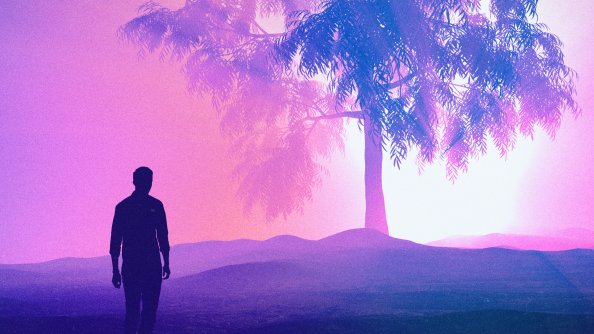 Following The Way