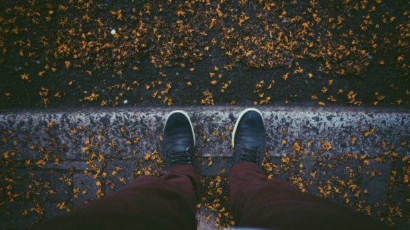 Sneakers Autumn Leaves Fallen 5k