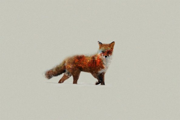 Fox Artist
